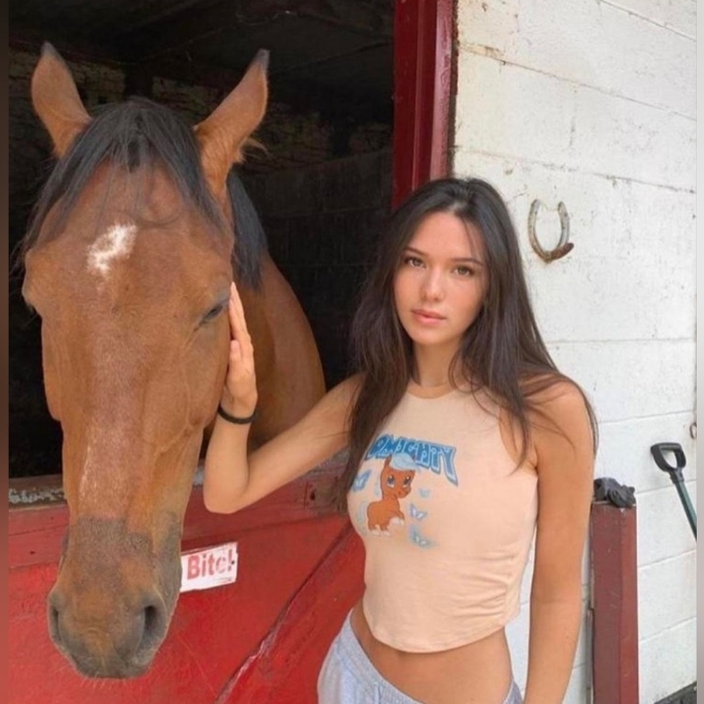 Omighty Y2K Tan Pony Crop Top with Blue and Orange Graphic EUC Medium 17-19 PTP